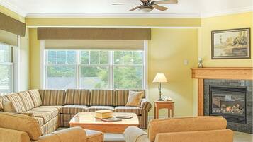 Télévision, cheminée, jeux vidéo, lecteur de DVD