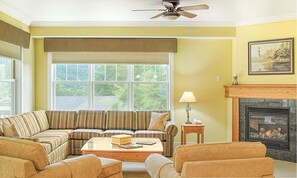 TV, fireplace, video games, DVD player
