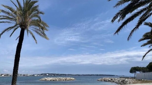 A beach with a palm tree, clear sky, and rocky outcrops in the water.