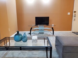 Interior - Cozy one bedroom for Business and travel nurses (Arlington)