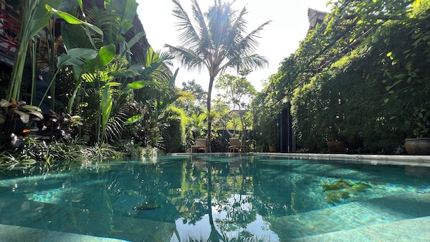 A clear pool surrounded by lush tropical plants and a wooden chair. - Joyously Raw Villas (Ubud)