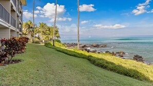 Un hôtel situé en bord de mer, doté d’une pelouse verdoyante, de palmiers et offrant une vue sur l’océan.