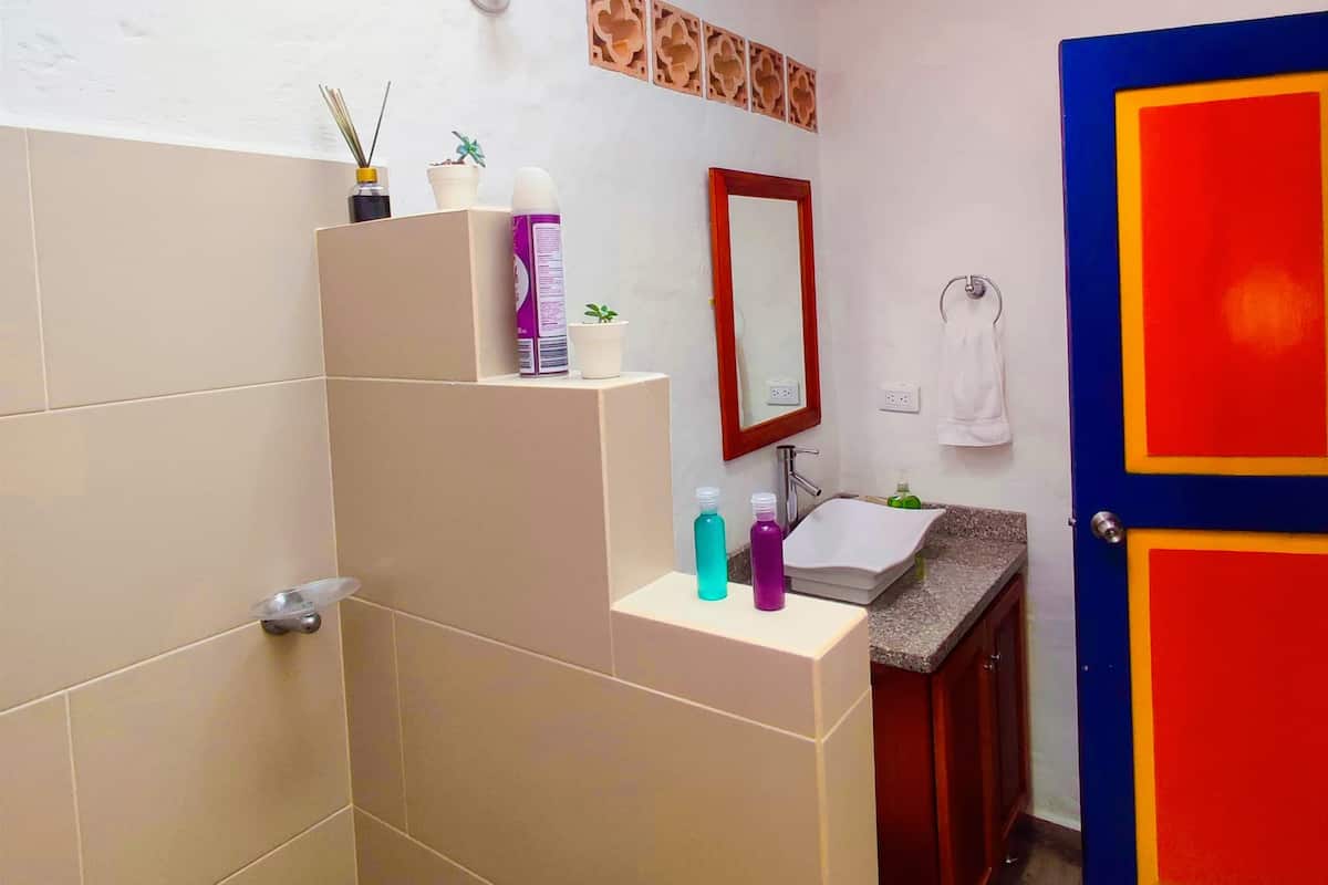 A bathroom with a shower, a sink, a mirror, and a door with a colorful design.