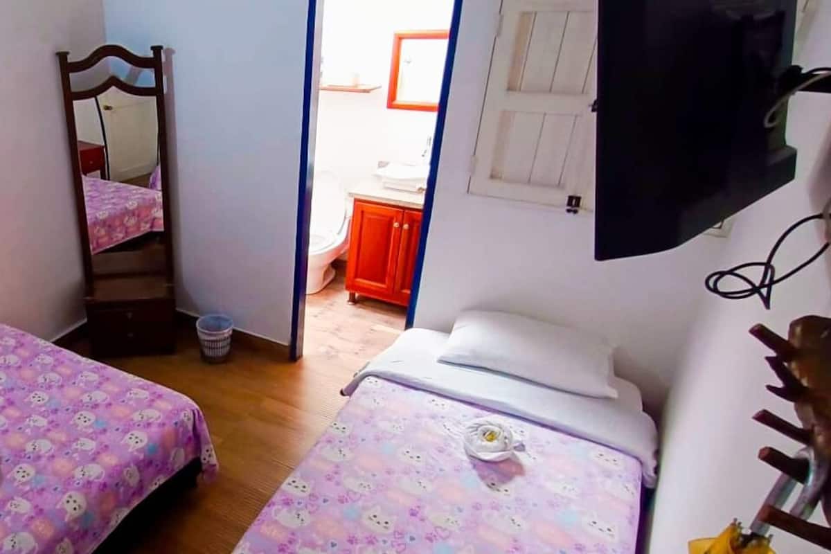 A small bedroom with two beds, a wooden wardrobe, a mirror, and a television.