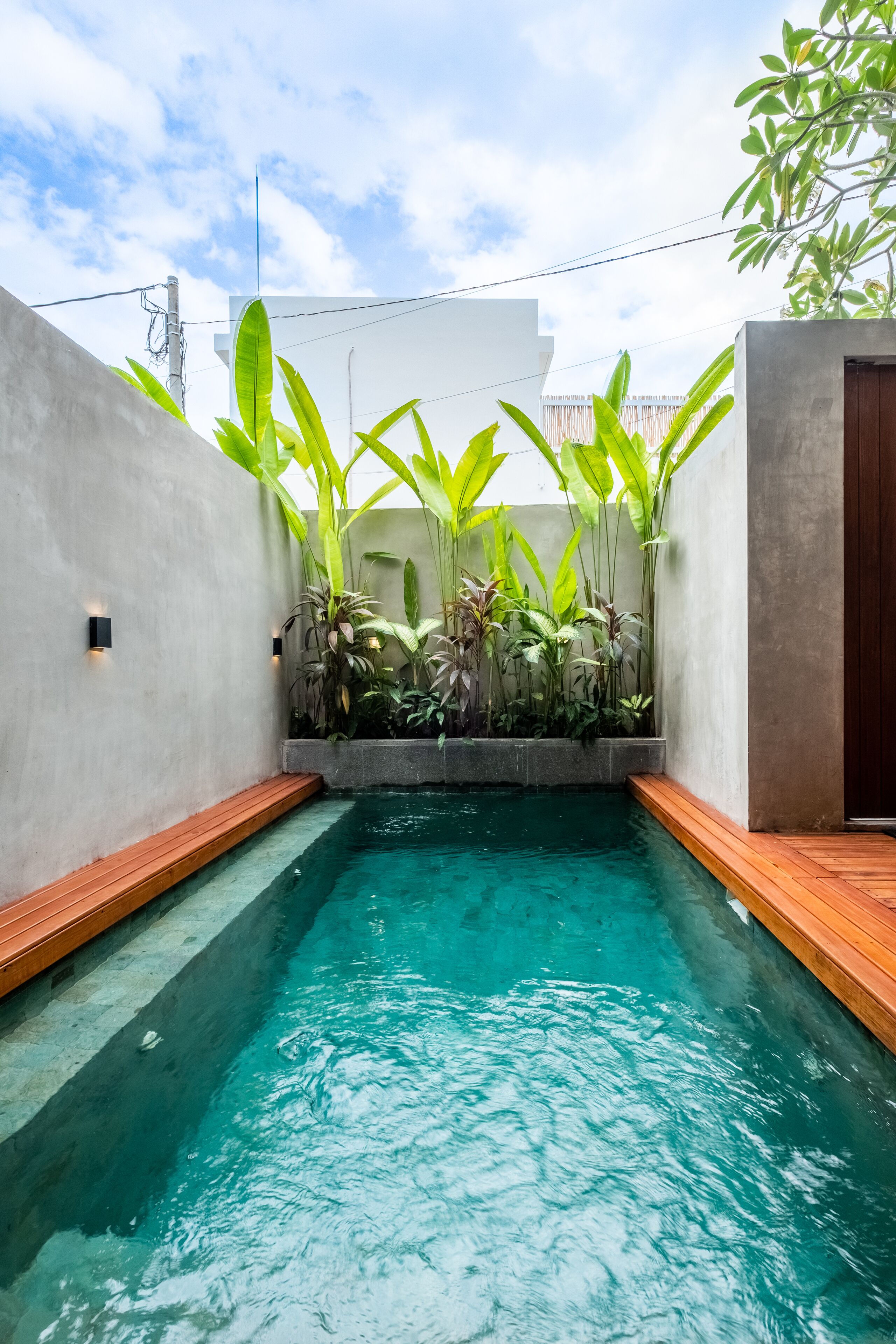 A swimming pool with a wooden deck, surrounded by plants and a concrete wall.
