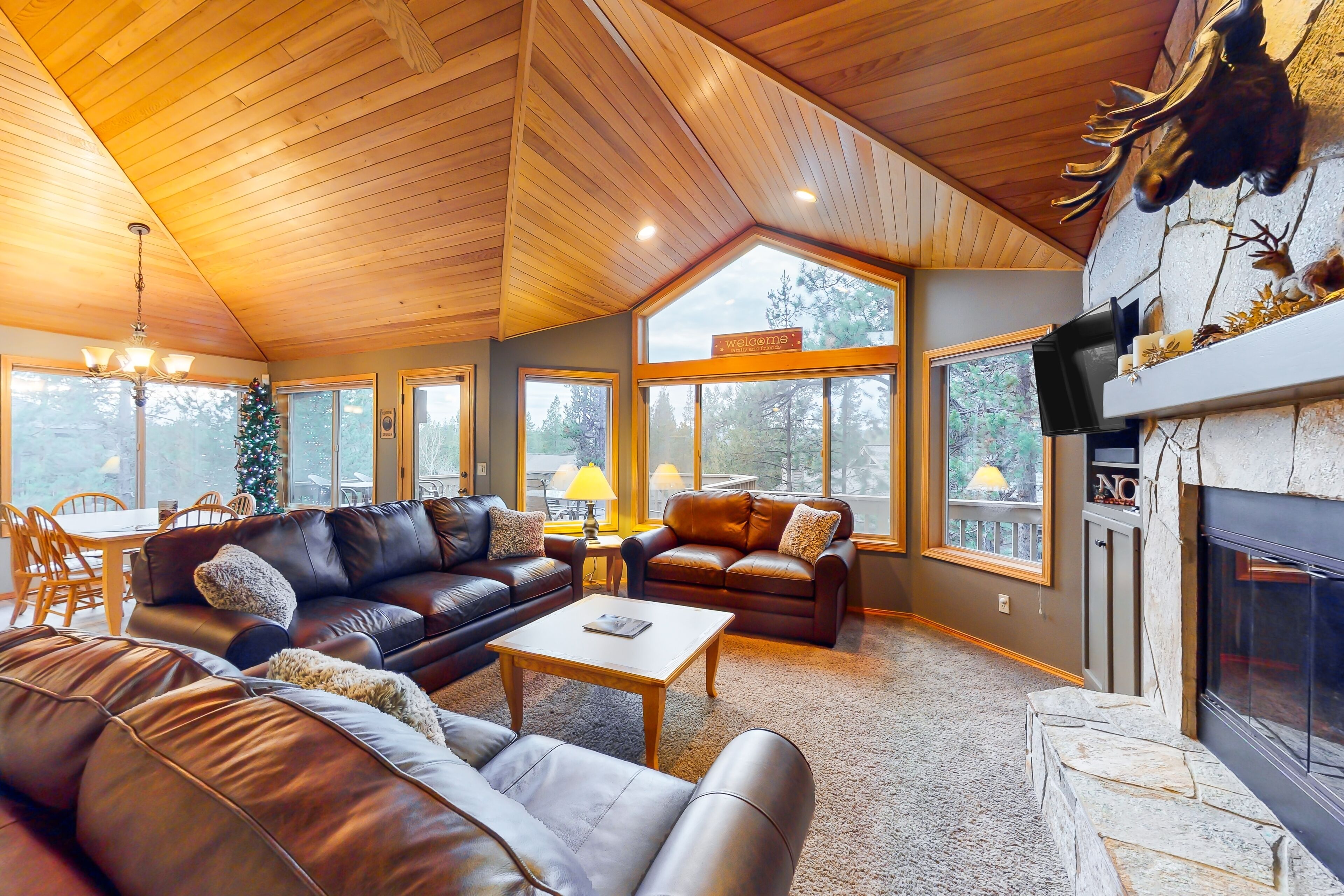 TV, fireplace, DVD player, ping pong