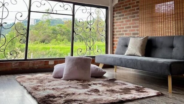 Ein Zimmer mit einem großen Fenster, einem grauen Sofa und einem flauschigen Teppich.