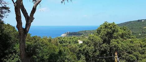 Terrain de lâhĂ©bergement