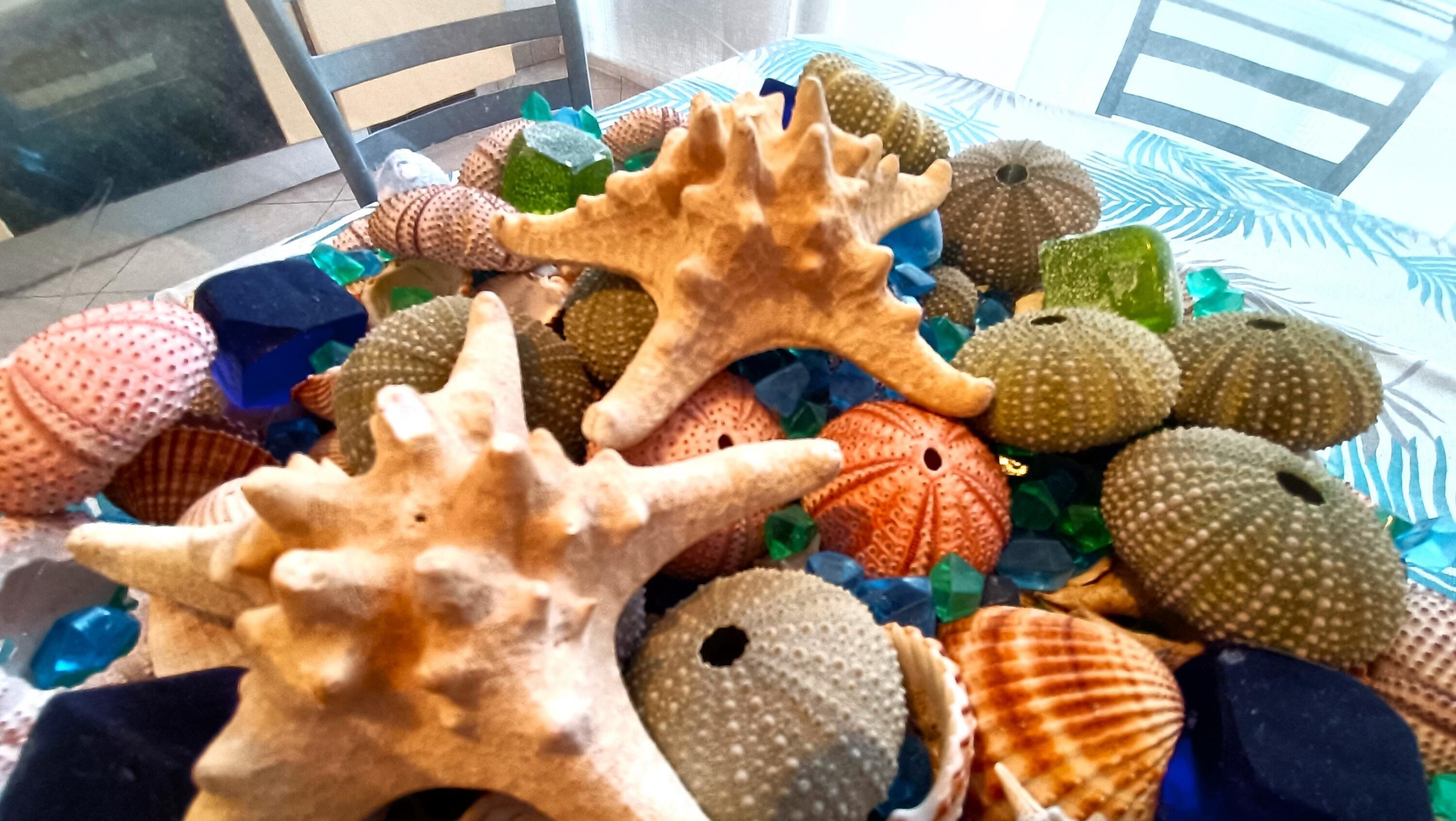 Una colección de conchas marinas y estrellas de mar sobre una mesa con mantel a rayas.