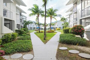 Une cour d’hôtel avec un chemin central, des palmiers et des jardins bien entretenus.