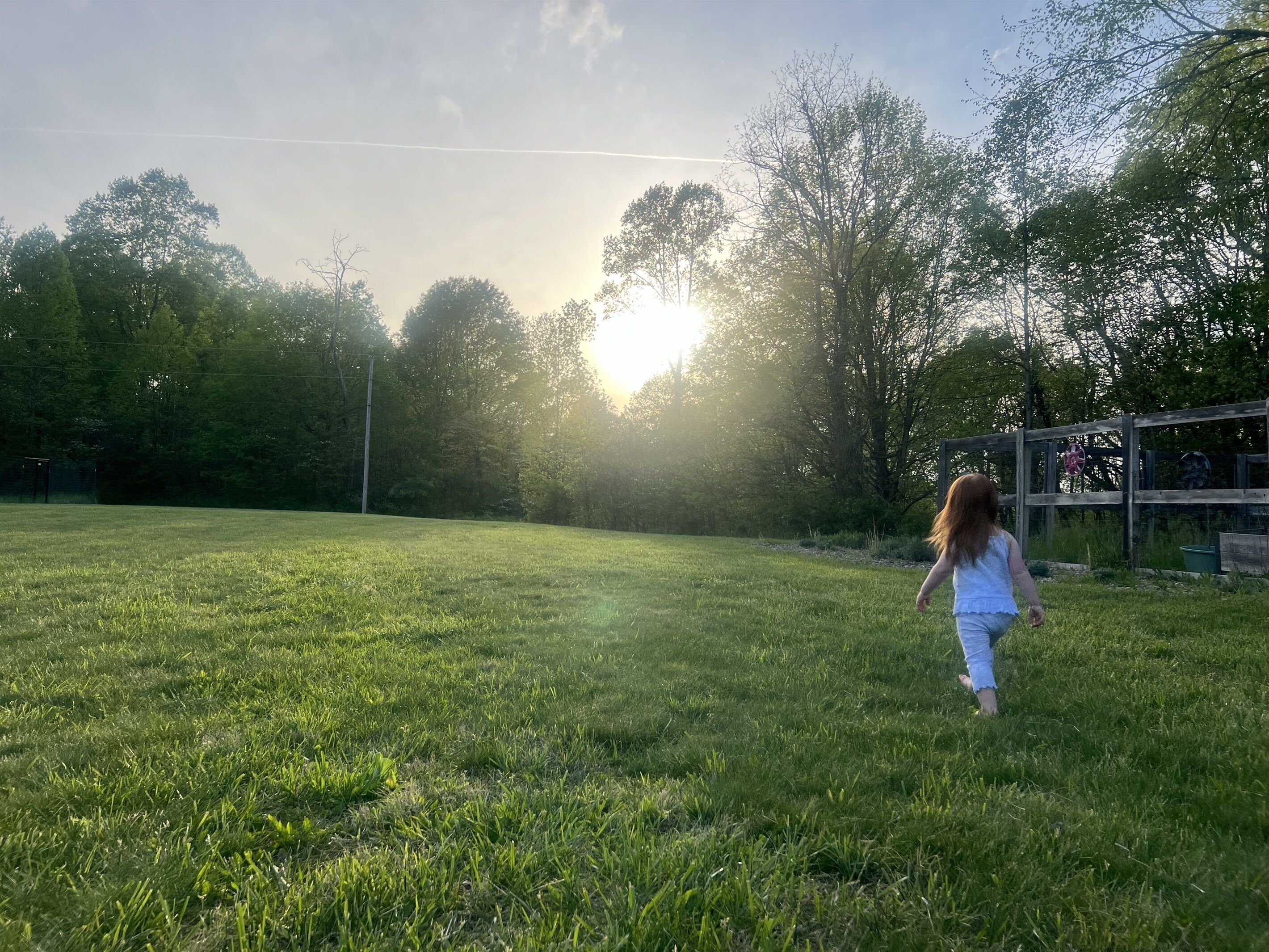 A grassy field with a wooden fence and trees in the background.