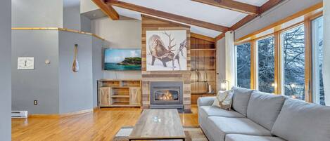 TV, fireplace, offices