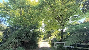 Un sendero bordeado por abundante vegetación y una valla de madera.