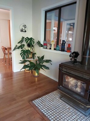 Interior - Classic 1960s home amongst native trees (Ōtaki)