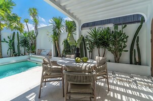 A poolside area with wicker furniture, a table with coconuts, and various cacti and palm trees.
