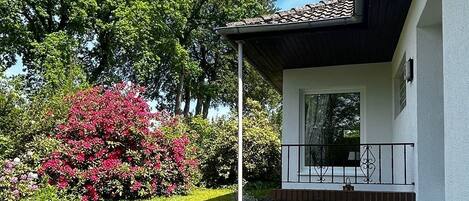 Área da propriedade