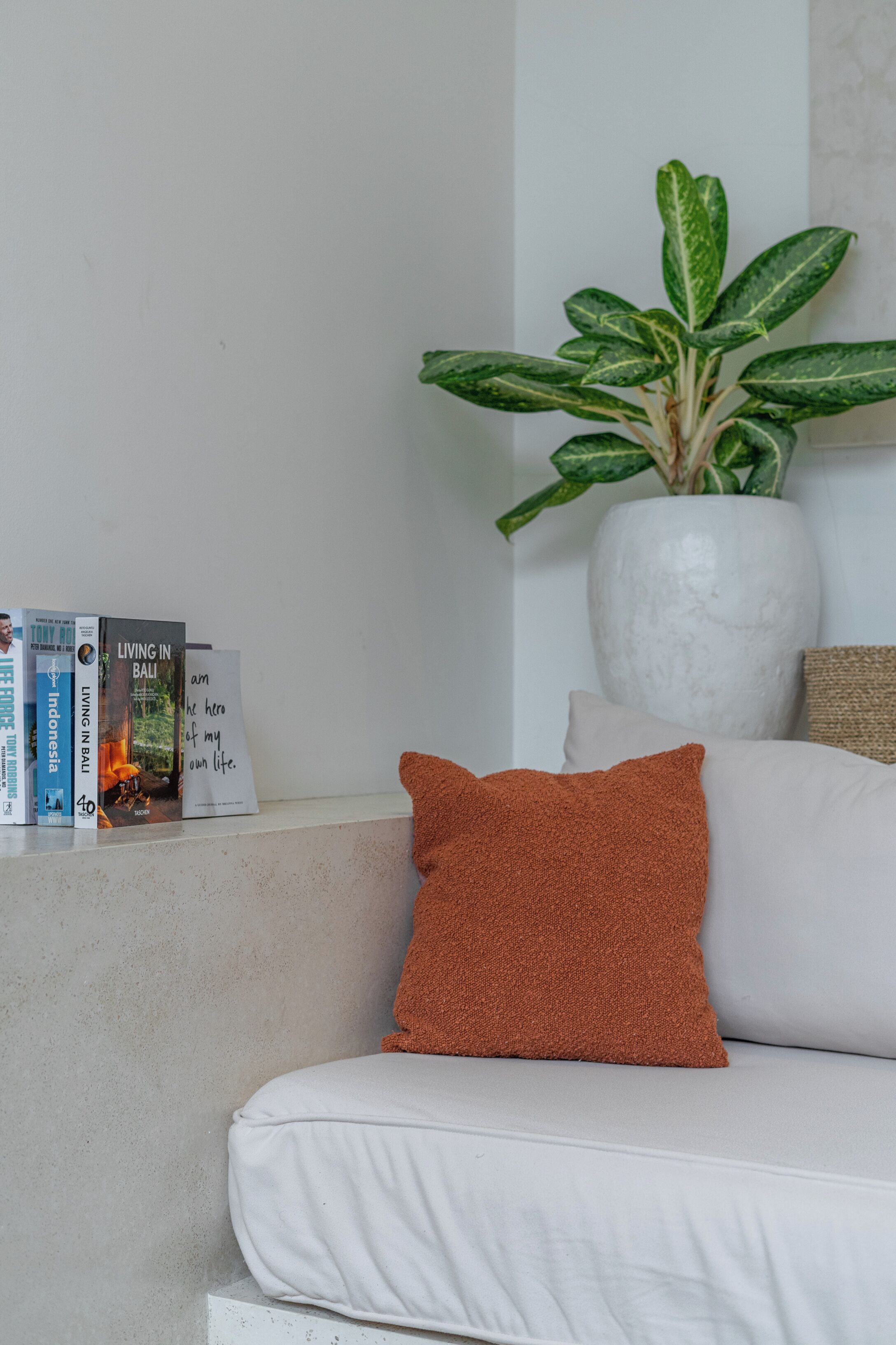 Een witte bank met een bruin kussen, een potplant en boeken op een plank.