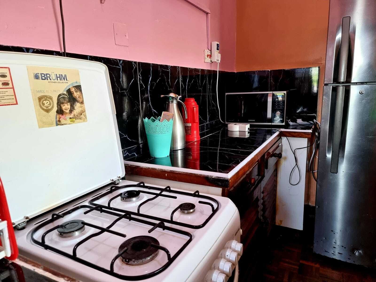 Deluxe Apartment | Private kitchen | Fridge, microwave, cookware/dishes/utensils