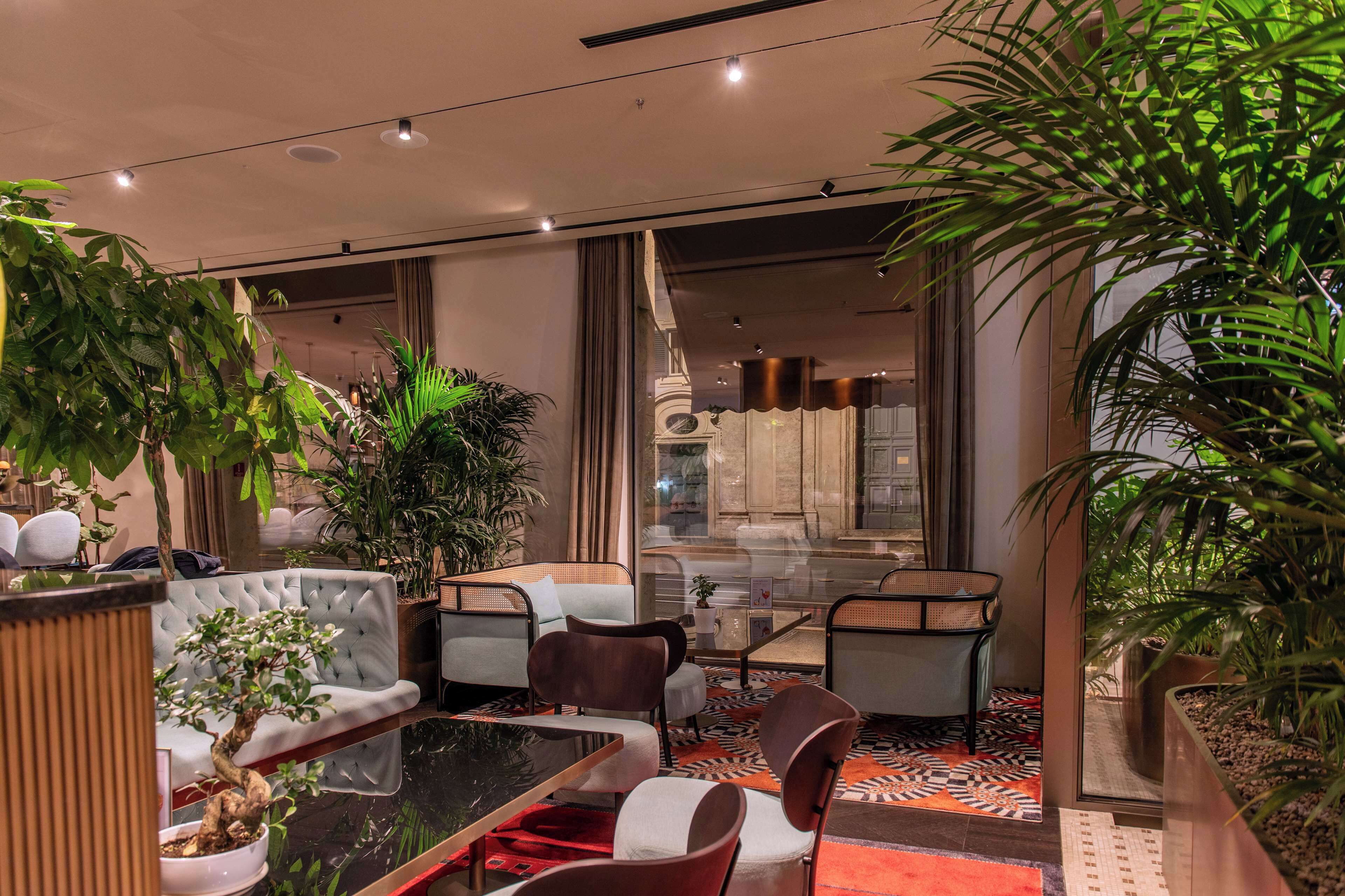 Ein moderner Lounge-Bereich mit einer Couch, Sesseln, einem Tisch und Topfpflanzen.