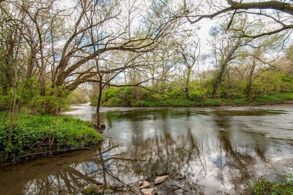 A river surrounded by dense trees and greenery.