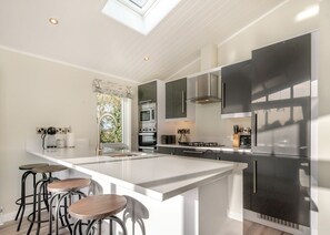 Fridge, oven, stovetop, toaster