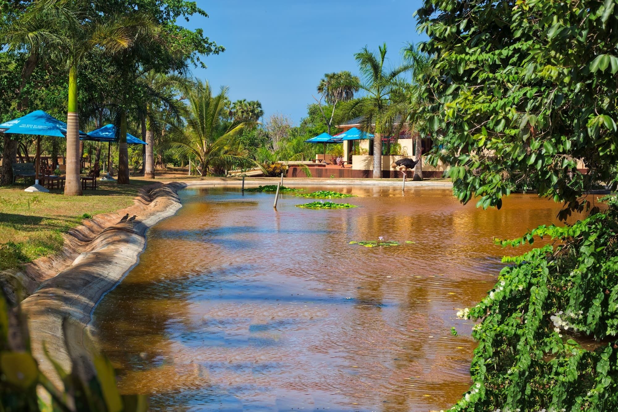 Ein ruhiger Außenbereich mit Wasserspiel, Palmen und blauen Sonnenschirmen.