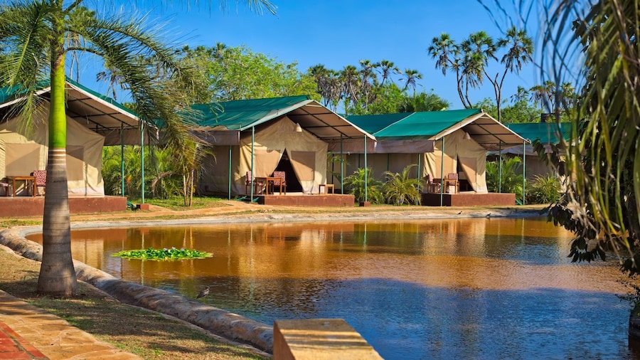 Borabora Luxury Tented Camp