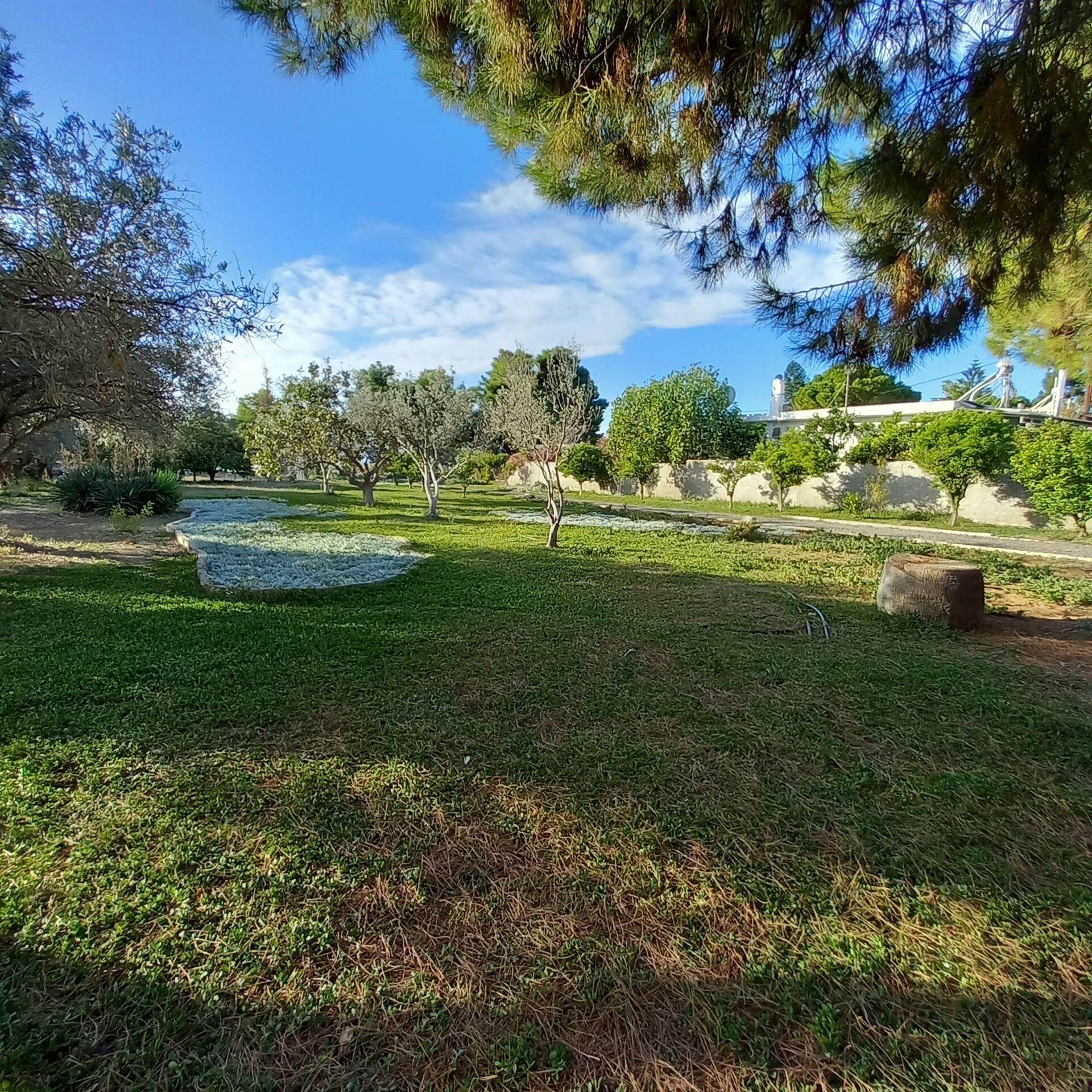 Parco della struttura