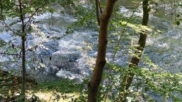 Un área boscosa con un arroyo serpenteante.