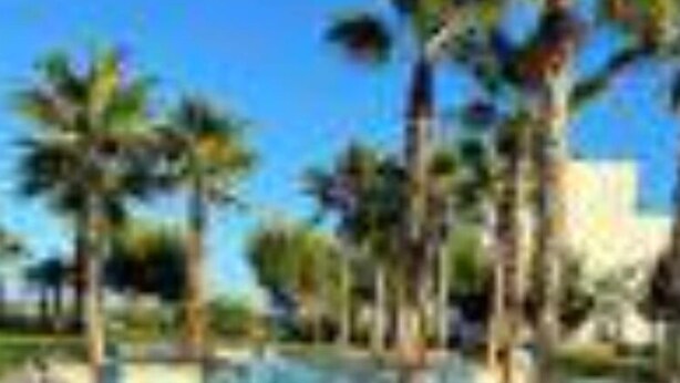 A swimming pool with palm trees and a clear blue sky.