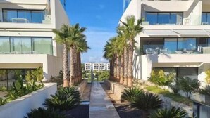A modern building with a central pathway flanked by palm trees and planters.
