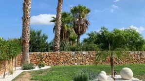 A landscaped garden with palm trees, a stone wall, and a paved walkway. - Villa DE Alquiler Perdiz (Dehesa de Campoamor)