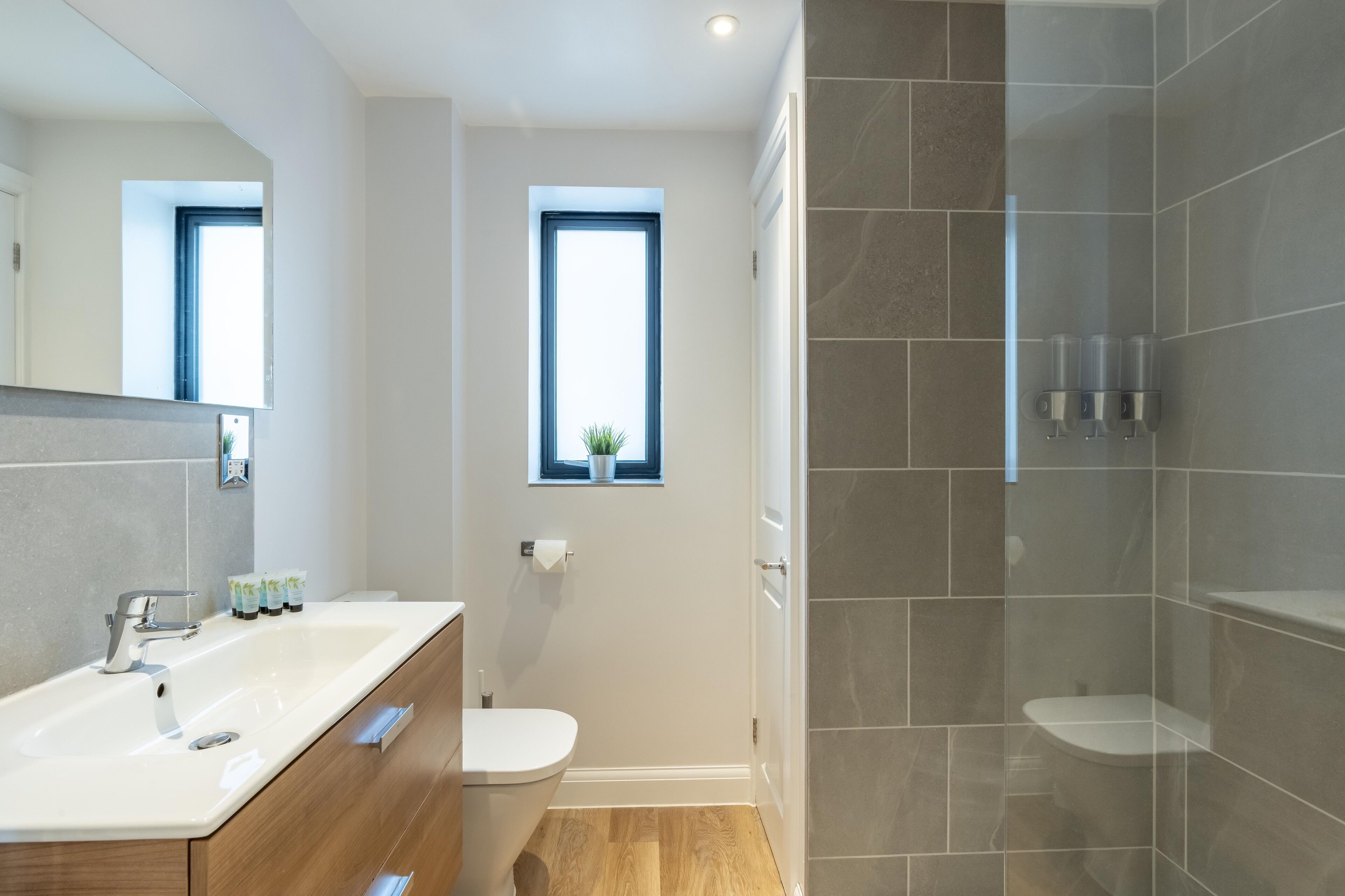 Shower, hair dryer