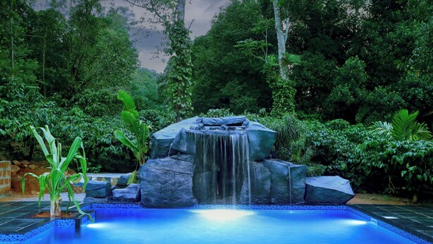 Une piscine agrémentée d’une cascade et entourée d’une végétation luxuriante.