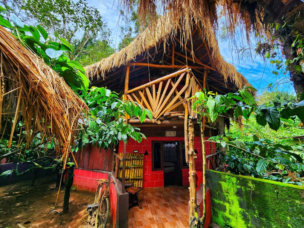Evergreen County - India's First Adventure Veg Retreat image