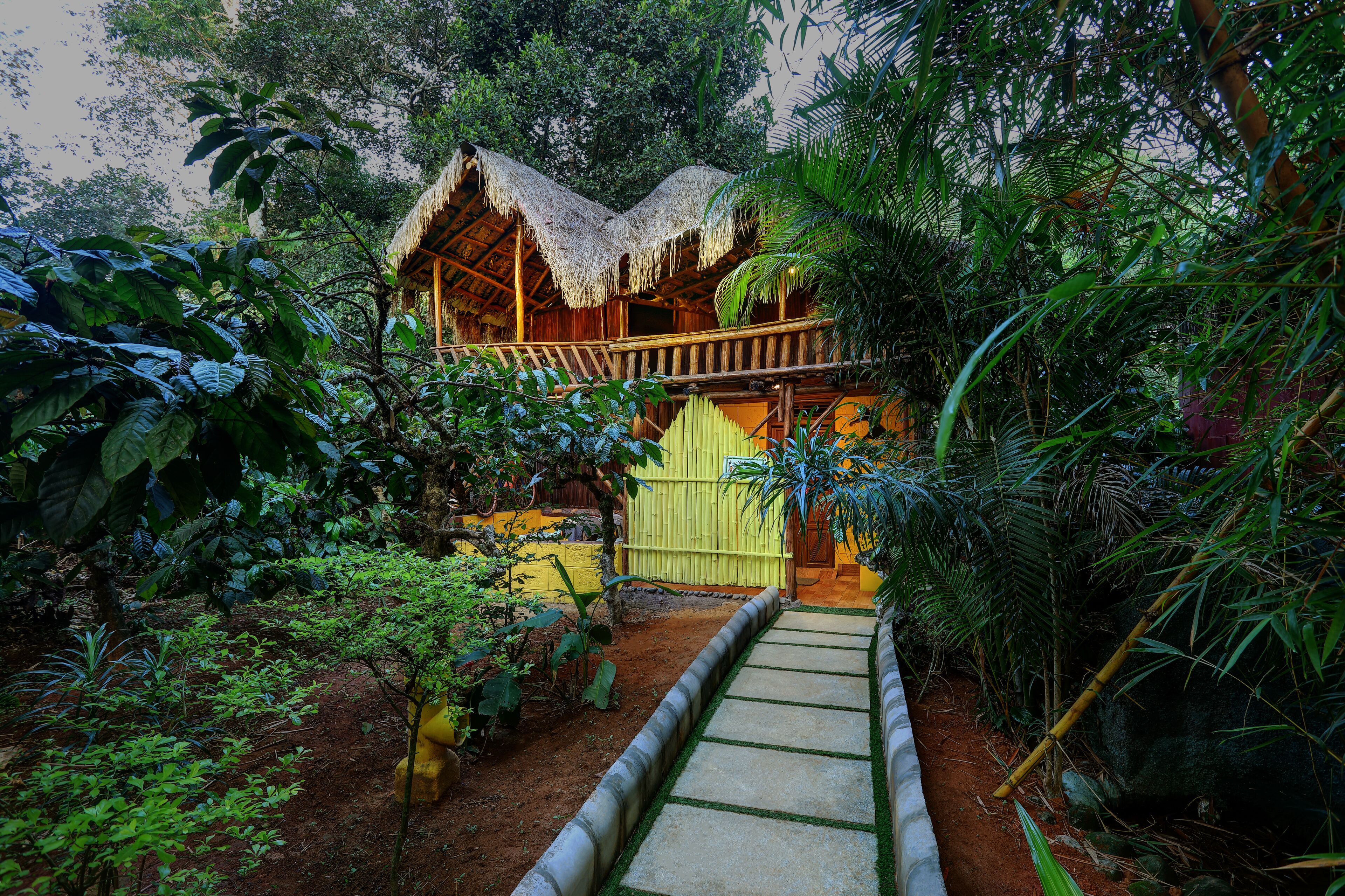 A rustic wooden structure with a thatched roof, surrounded by dense tropical vegetation.