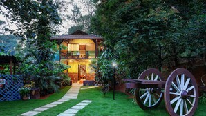 Une maison rustique en bois, dotée d’un toit de chaume, entourée d’une végétation luxuriante et accessible par un chemin de pierre menant à l’entrée.