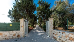 Ein Kiesweg, der von Steinmauern und Metallgittern gesäumt wird und zu einem von Bäumen gesäumten, umzäunten Bereich führt.