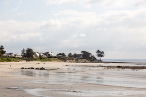 Une plage avec des maisons en arrière-plan, un rivage sablonneux et un ciel dégagé.