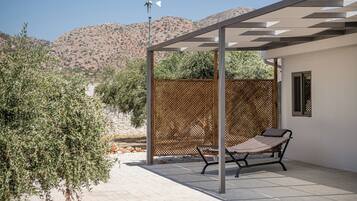 Modern Detached Home | Terrace/patio