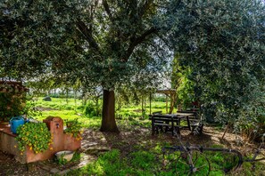 A rustic outdoor setting with a wooden bench, a bicycle, and a stone wall with plants.