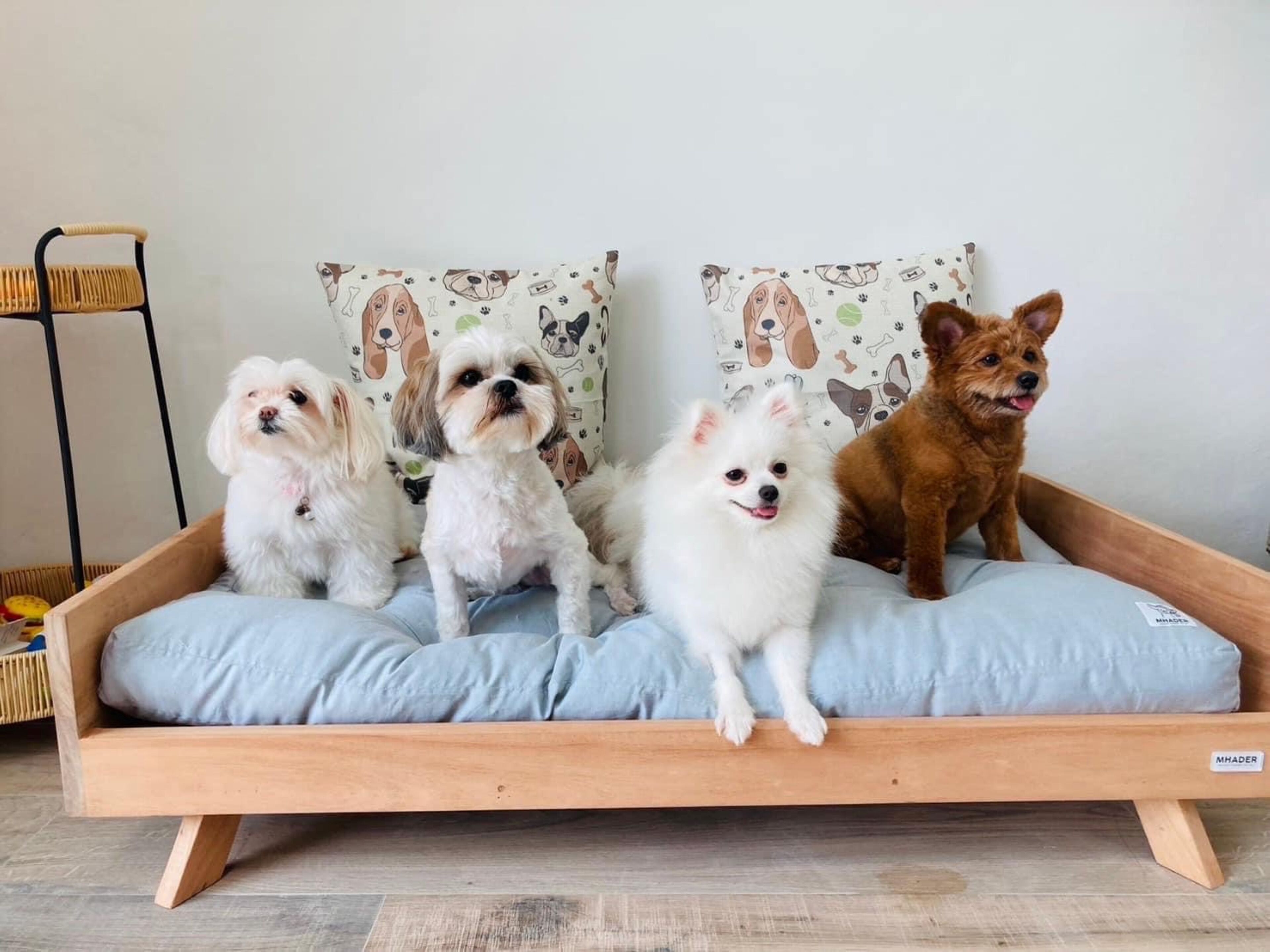 A wooden bed with a light blue mattress and pillows with dog illustrations.