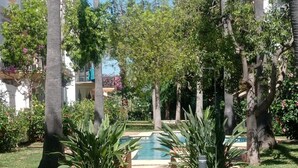 Una piscina rodeada de palmeras y follaje, con cielo despejado.