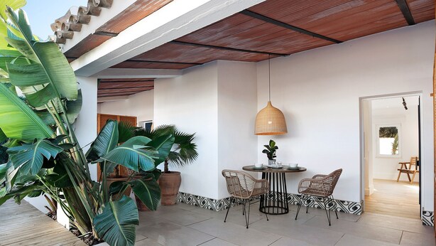 A patio with a wooden deck, a round table with chairs, and large potted plants.