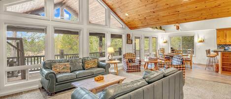 TV, fireplace, offices