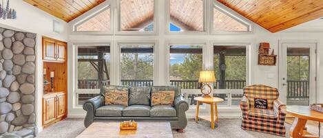 Smart TV, fireplace, video games, DVD player