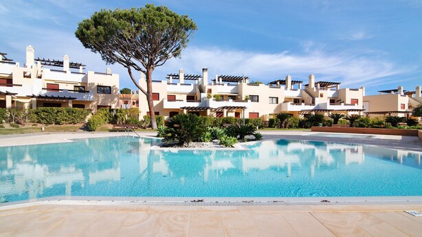 A swimming pool with a tiled deck, surrounded by modern buildings with balconies and a large tree.