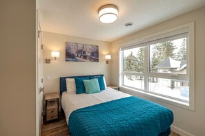 2 bedrooms, desk, iron/ironing board, WiFi