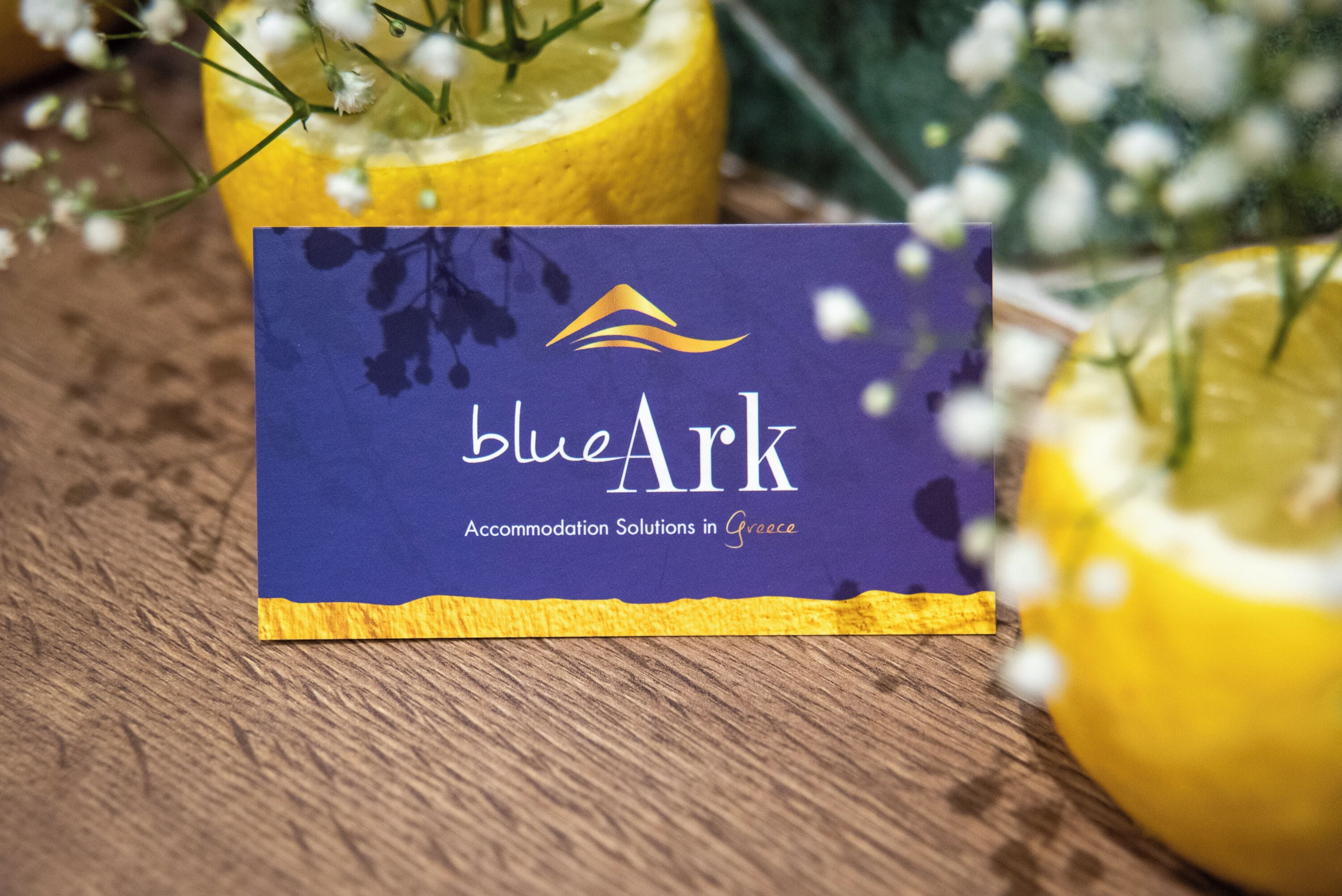 A business card for BlueArk, a company offering accommodation solutions in Greece.