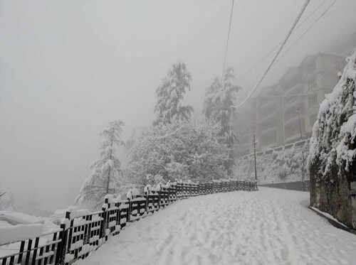 Frost Valley Shimla